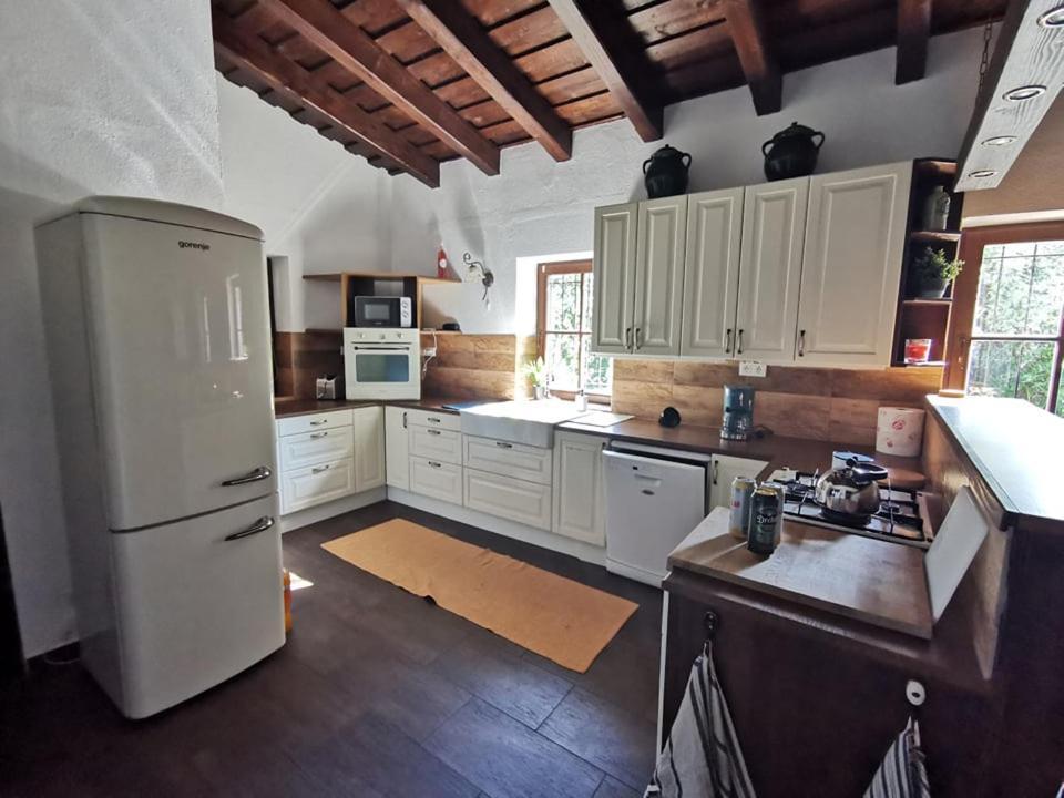 Vila Bivaly Tanya Domaszék Exteriér fotografie